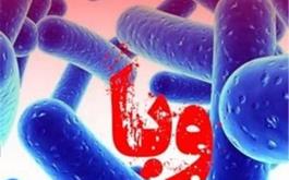 توصیه های وزارت بهداشت درباره شیوع بیماری وبا در عراق 
